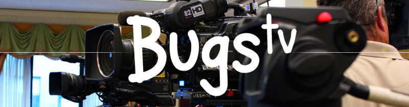 BUGS-TV